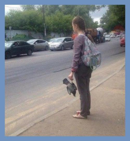 Все о дизайне интерьера. 07