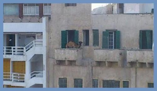 Все о дизайне интерьера. 02