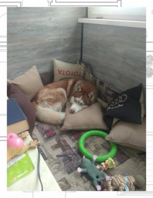 Утеплили лоджию.  Делал все своими руками. 07