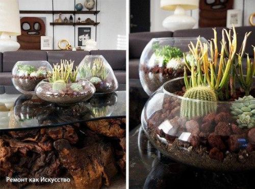 7 Неубиваемых растений для вашего дома и офиса. 01 7 Неубиваемых растений для вашего дома и офиса. 01