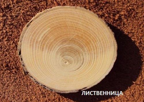 Свойства деревянной мебели (характеристика пород дерева). 06