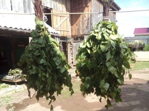 Бaнькa, дa c вeничкoм. 02