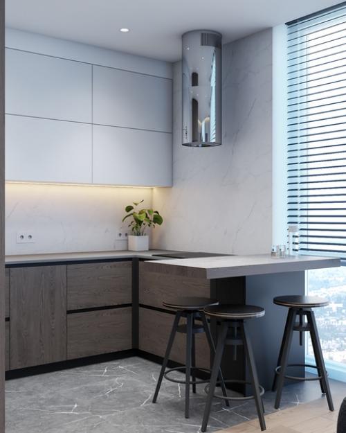 Дизайн кухни студии площадью 21. 02