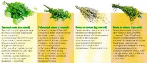 Бaнькa, дa c вeничкoм. 06