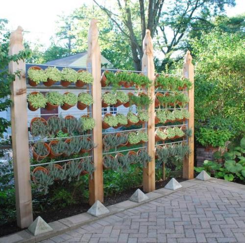Как необычно украсить двор или место для отдыха при помощи растений? 02