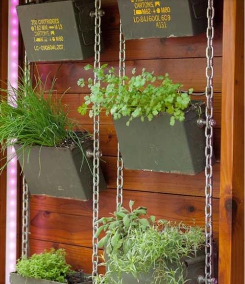 Как необычно украсить двор или место для отдыха при помощи растений? 01