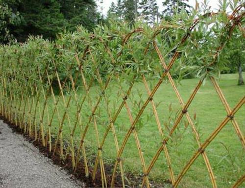 Конструирование из растущей ивы. 03 Конструирование из растущей ивы. 03