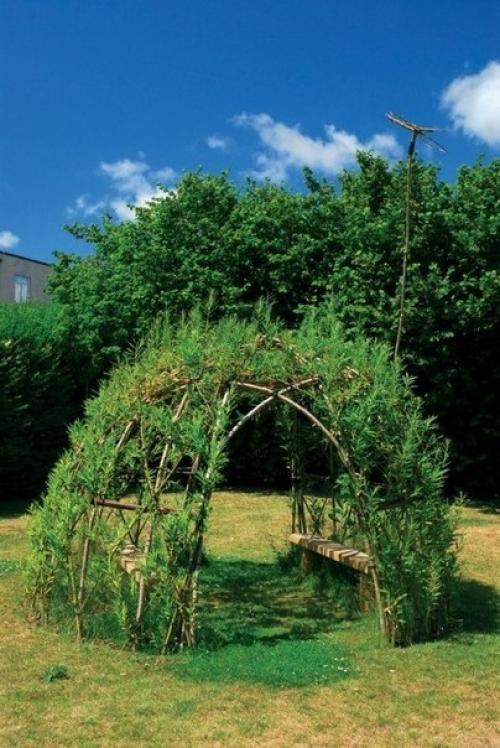 Конструирование из растущей ивы. 07 Конструирование из растущей ивы. 07