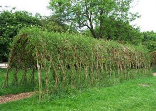 Конструирование из растущей ивы. 06 Конструирование из растущей ивы. 06