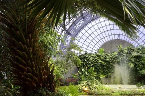 Интересные и недорогие развлечения в Петербурге. 03