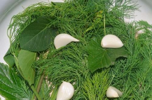 Как засолить огурцы в бочке. 04