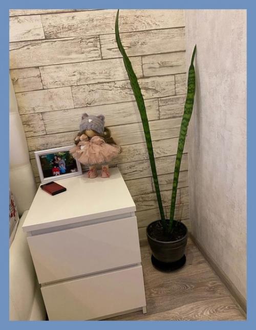 За две недели времени сделали капитальный ремонт в спальне своими руками. 03