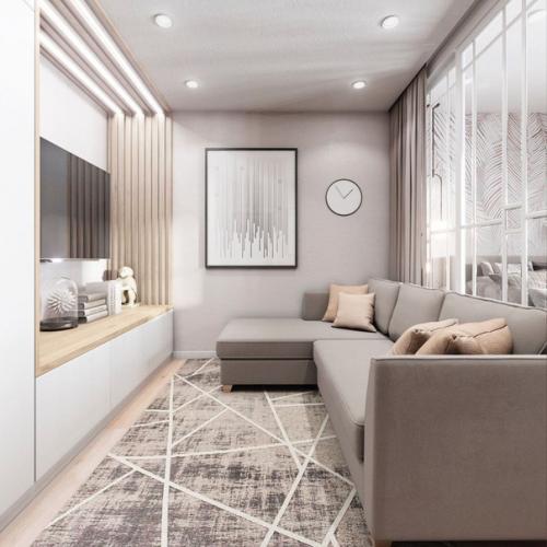 2 х - комнатная квартира с зонирование одной комнаты на гостиную - спальню и детскую. 03