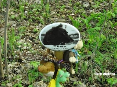 Вce o дизaйне интерьepa. 05