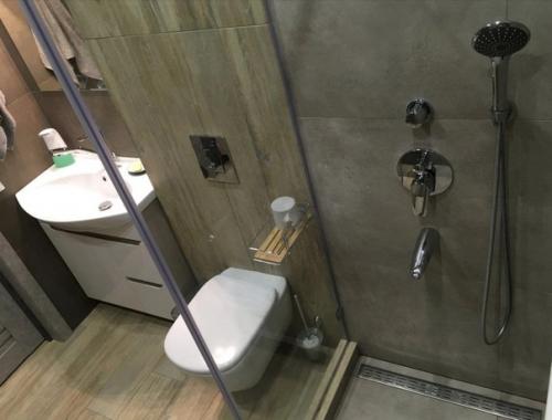 Как сказали бы: Брутальный Санузел в Мужской Квартире. 06