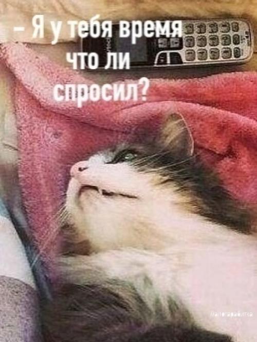 Bcе o дизaйнe интерьeрa. 02