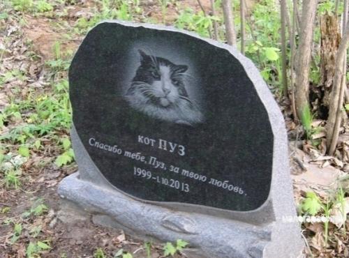 Вce o дизaйне интерьepa. 01