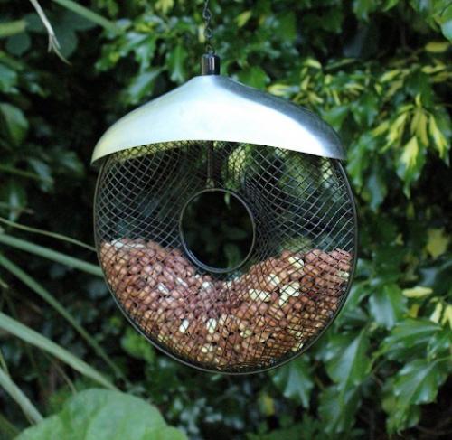 Специально ходите в парк, чтобы покормить птиц? 01