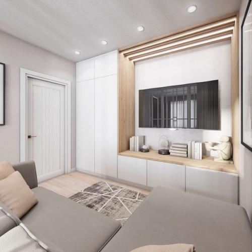 2 х - комнатная квартира с зонирование одной комнаты на гостиную - спальню и детскую. 04