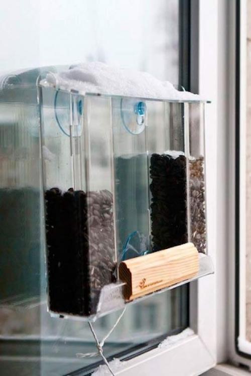 Специально ходите в парк, чтобы покормить птиц? 03