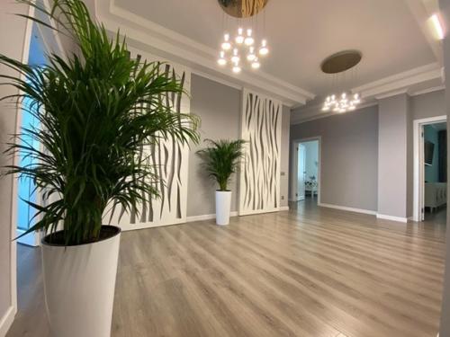 Переехали в прошлом году. 04