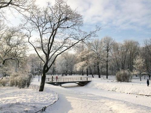 10 парков с зимними развлечениями в черте Петербурга. 06