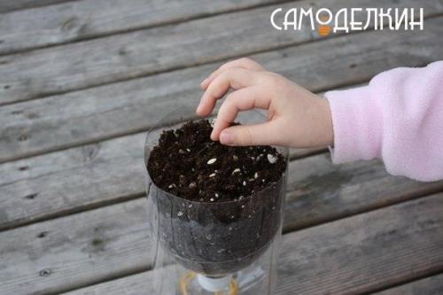 Самоувлажняющиеся емкости для рассады. 05