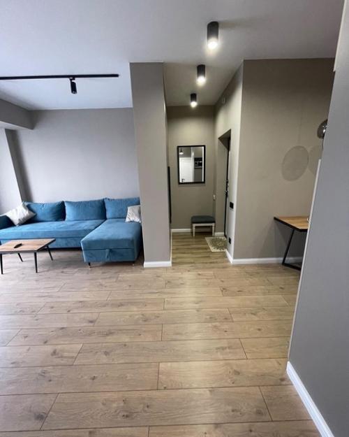 54 кв.  м после ремонта под дальнейшую сдачу в аренду свежий ремонт с хорошей мебелью. 03