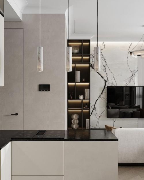 Кухня - гостиная площадью 27 м 2. 04