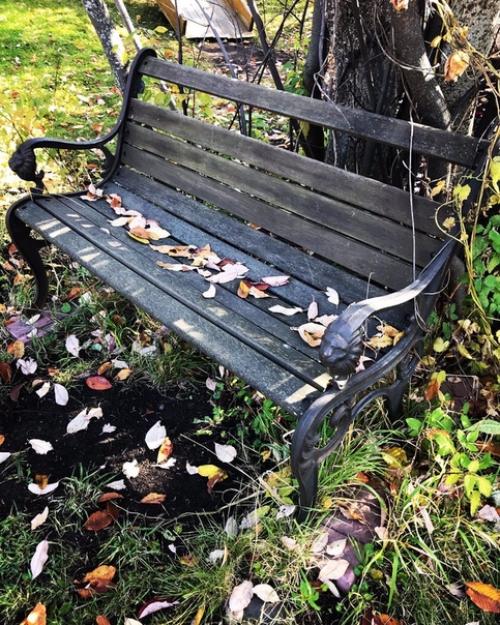 Добрый день!  15 октября привезли две лавочки на восстановление, на фото видно их состояние, в принципе из выкинуть хотели. 01