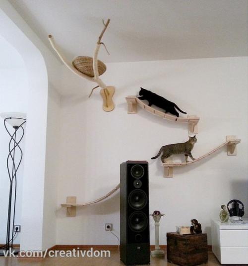 Игровая площадка для кошек. 04