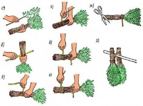 Когда и как заготавливать банные веники. 01