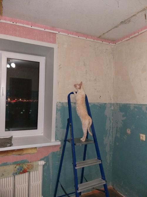 Наконец закончили ремонт на кухне. 02