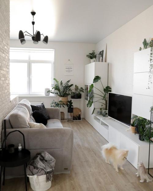 Пару лет назад мы с мужем купили обыкновенную двухкомнатную квартиру в новостройке площадью 60 кв. 03