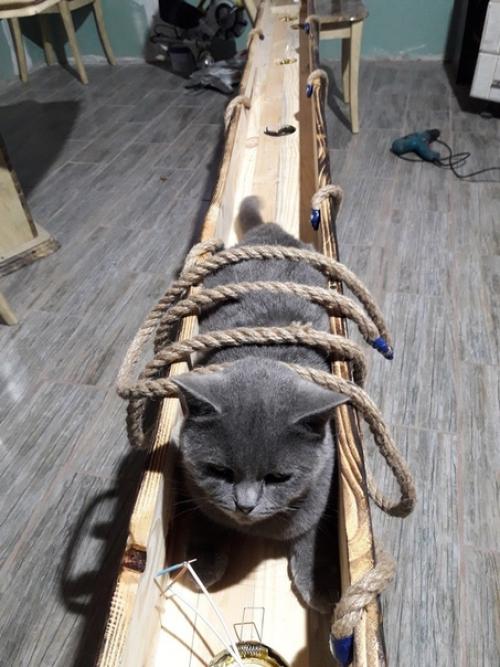 Захотелось чего-то оригинального в доме. 04