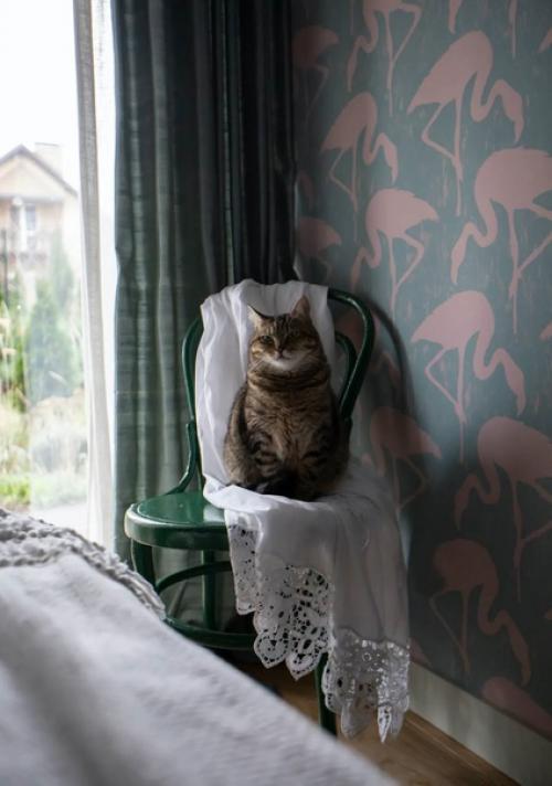 Немного этники, винтажа, картин любимых художников - современников и авторских дизайнерских предметов. 06