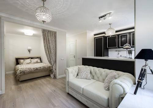 Двухкомнатную студию?  Креативный вариант. 08