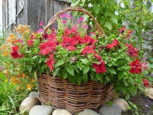 Плетень для клумбы своими руками. 04