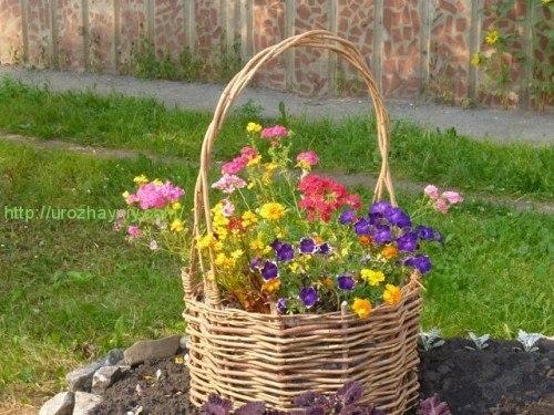 Плетень для клумбы своими руками. 01