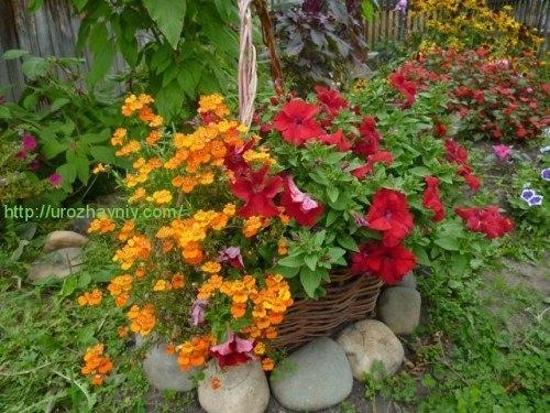 Плетень для клумбы своими руками. 03