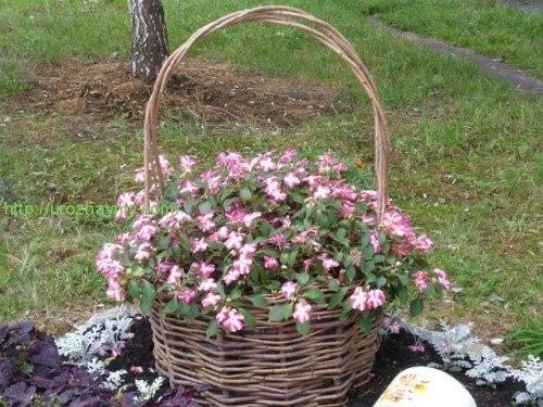 Плетень для клумбы своими руками. 05