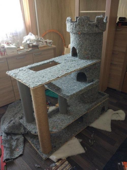 Для нашего хвостатого мурлыки - своими руками. 05