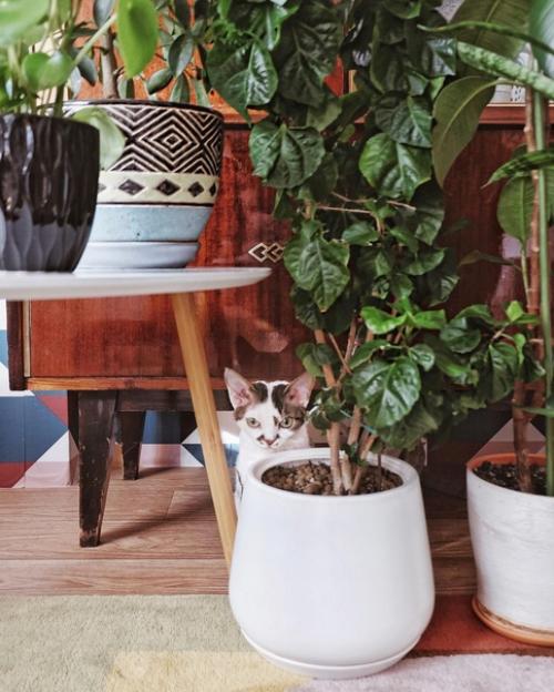 Перекрасила советскую кухню. 09