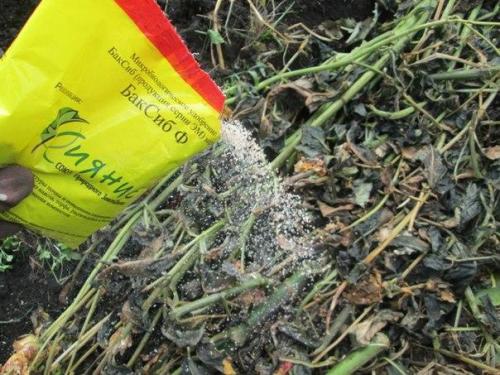 Почему теплая грядка - лучше? 02 Почему теплая грядка - лучше? 02