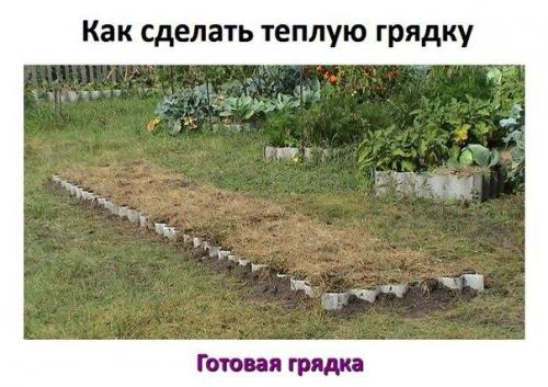Почему теплая грядка - лучше? 01 Почему теплая грядка - лучше? 01