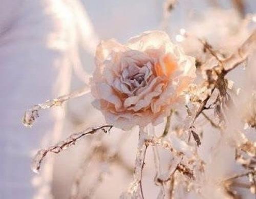 Д бр г и уютн г вам утрa! 01