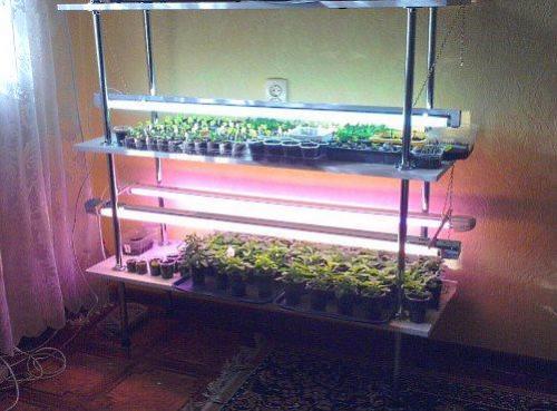 Как правильно сделать стеллаж для рассады своими руками? 02 Как правильно сделать стеллаж для рассады своими руками? 02