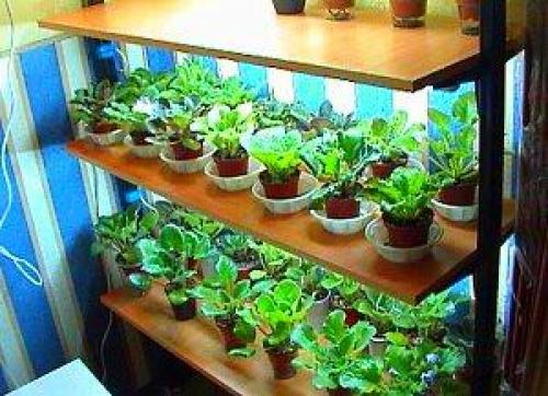 Как правильно сделать стеллаж для рассады своими руками? 01 Как правильно сделать стеллаж для рассады своими руками? 01