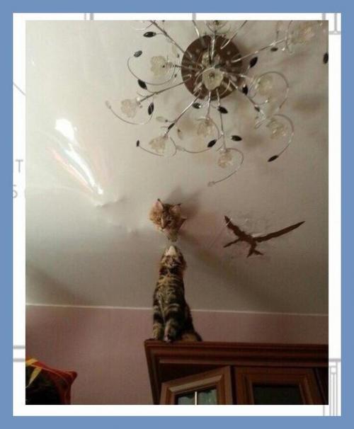 Все о дизайне интерьера. 02