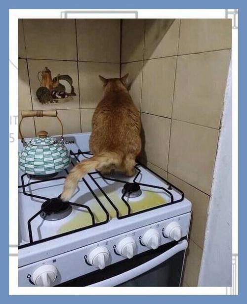 Все о дизайне интерьера. 03